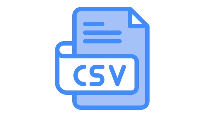 Import invoices for payment in CSV format